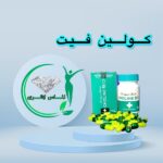 قرص لاغری کولین فیت (30 عدد) (choline fit)